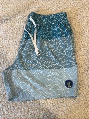 Chubbies The Pineapple Swim Trunks XL 5.5” Inseam Stretch Lined